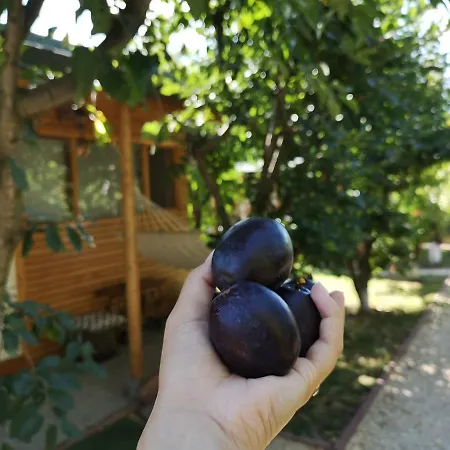 Relax Eaza - Casa Cu Hamac * Constanţa