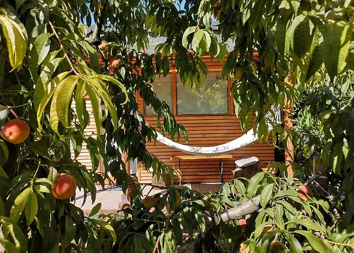 Relax Eaza - Casa Cu Hamac Constanţa