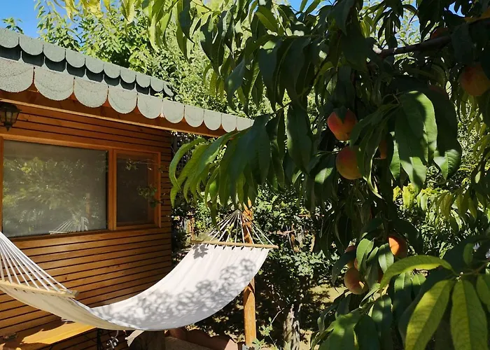 Relax Eaza - Casa Cu Hamac * Constanţa