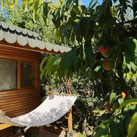 Relax Eaza - Casa Cu Hamac * Konstanca